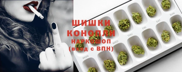 индика Абдулино
