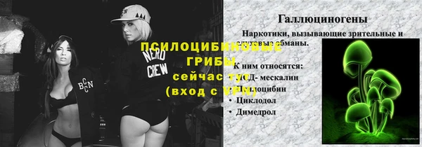 гашик Абаза
