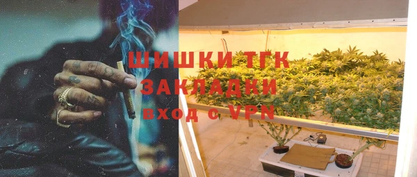 индика Абдулино