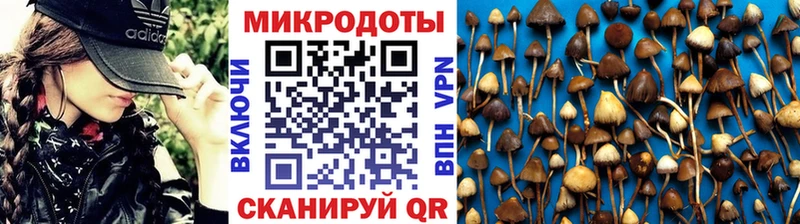 дарк нет телеграм  Щёкино  Псилоцибиновые грибы мухоморы 