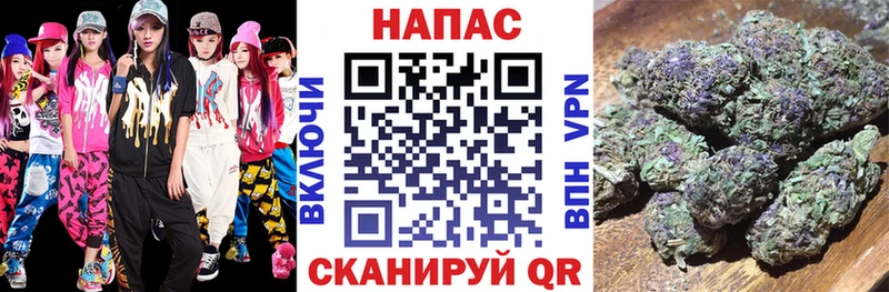 Бошки Шишки гибрид  blacksprut   Щёкино  где купить наркотик 